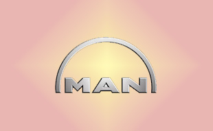 ✓ MAN 81.51232.0010 Запчасти МАН (MAN) 