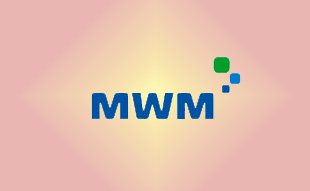 ✓ MWM 0401 5794 Запчасть MWM 